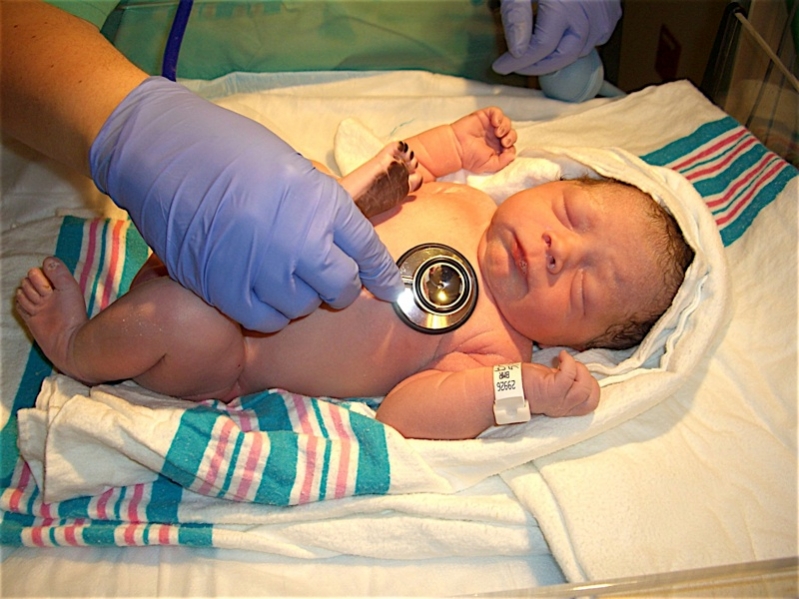 How much does it cost to have a baby? The Caterpillar Years