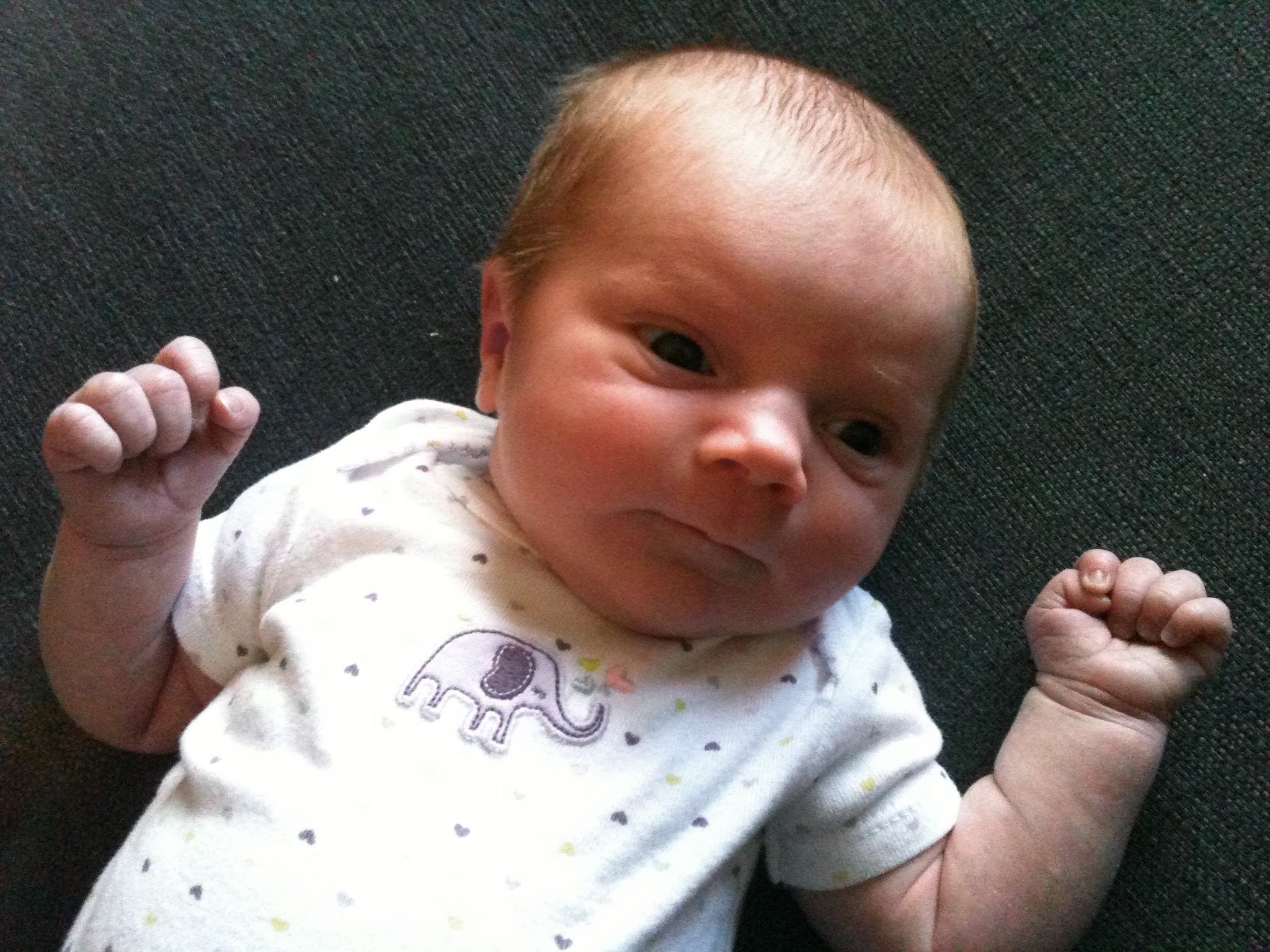 two-weeks-old-the-caterpillar-years