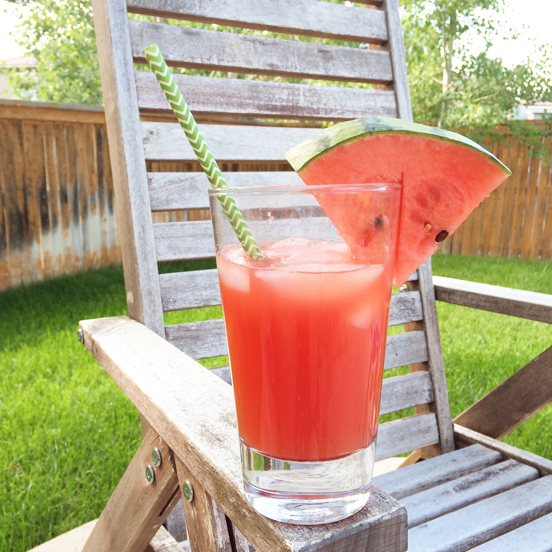 Watermelon Cocktail The Caterpillar Years